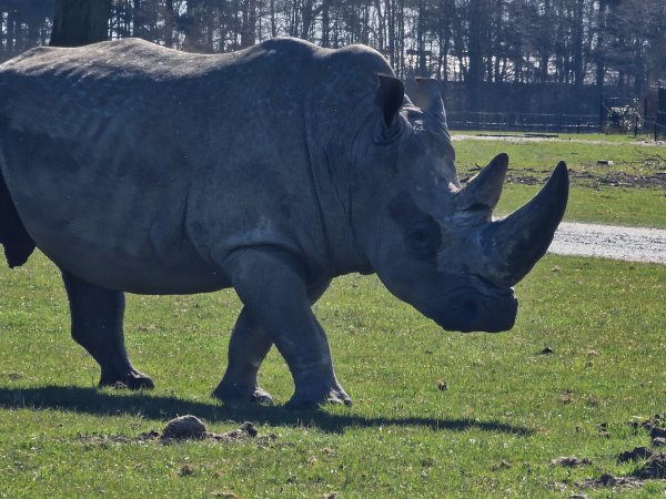 Safaripark Knuthenborg