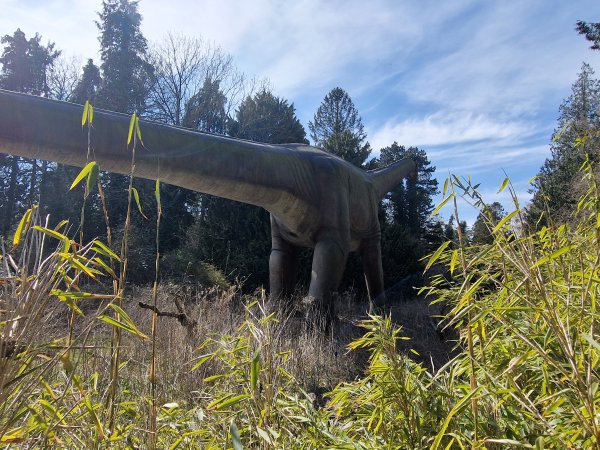 Safaripark Knuthenborg