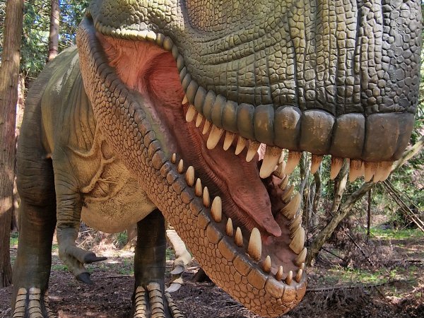 Safaripark Knuthenborg