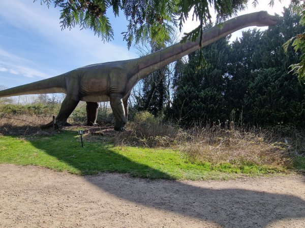Safaripark Knuthenborg