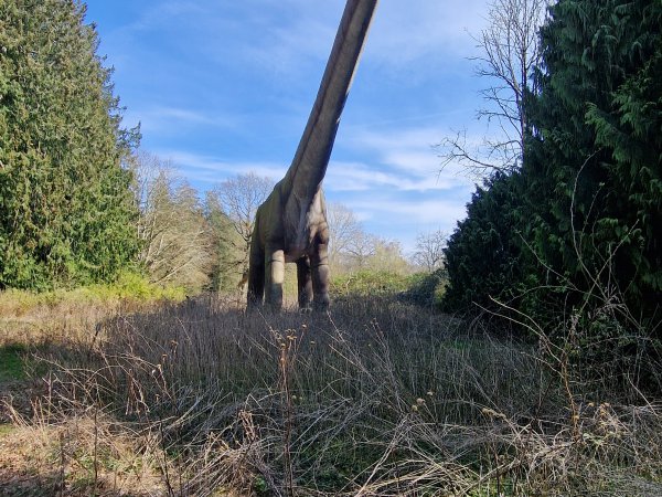 Safaripark Knuthenborg