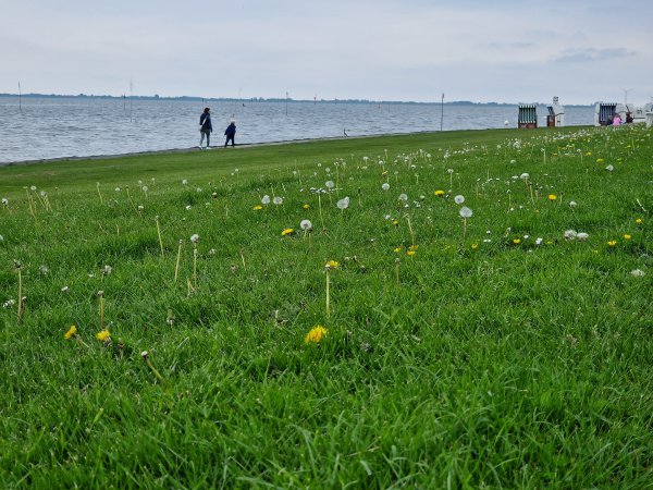 Husum und Umgebung